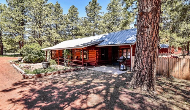 Rustic Star | Authentic Log Cabin in the Woods | Near the Grand Canyon, Flagstaff & Williams
