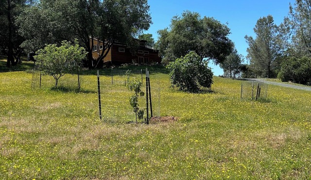 Rustic Studio Getaway Pet Friendly