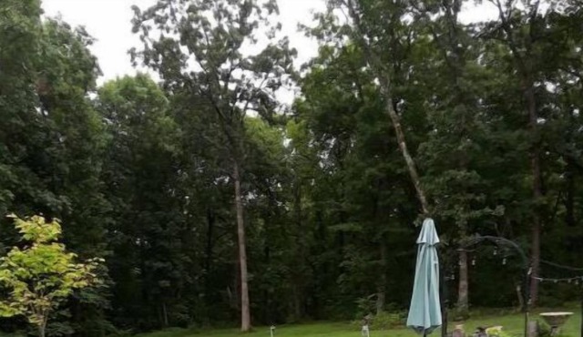 Rustic Suite Between Warrensburg and Knob Noster