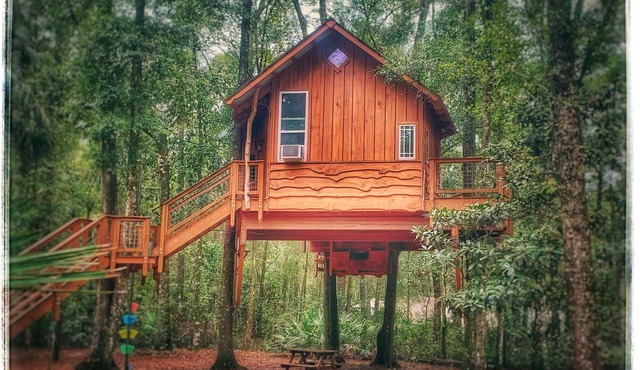 Rustic Treehouse and Cabin Retreat Near the Suwannee River