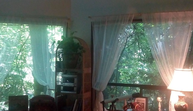 RUSTIC TREEHOUSE HOUSE CLOSE TO SEATTLE, WA