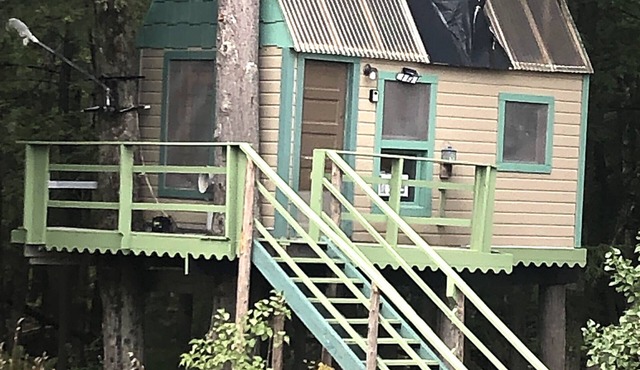 Rustic Treehouse on fabulous private boating, fishing and swimming lake