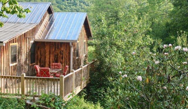 Rustic Updated Cabin in the Heart of the Appalachian High Country