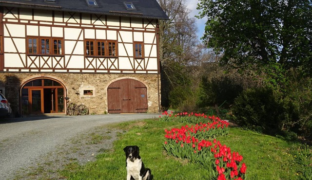 Rustic vacation in the "barn" in Drebach