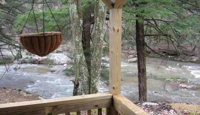 Rustic Waterfront Cabin- Enjoy the Sounds of Nature Right From Your Porch