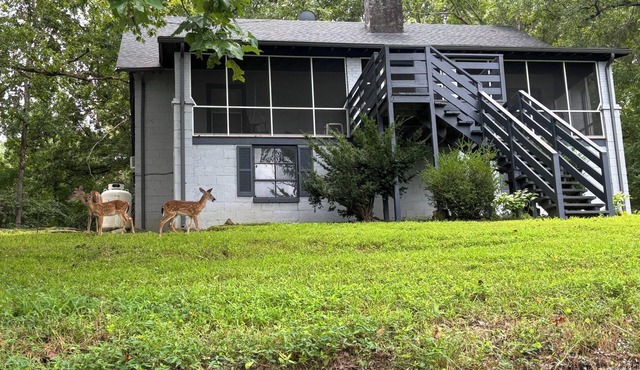 Rustic, yet cozy 4 bedroom house minutes from Longwood and Hampden-Sydney