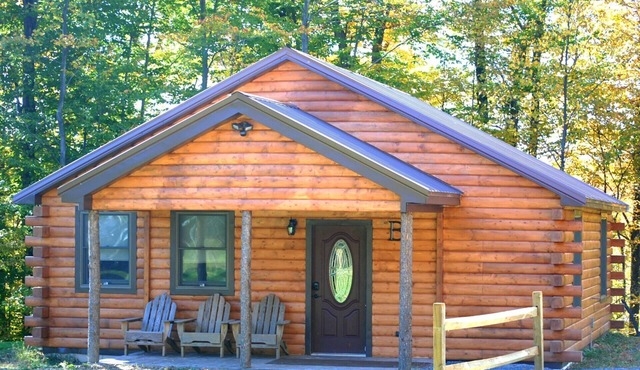 Rustic yet Modern Log Cabin, Cayuga Wine Trail, Dog Friendly, Open Year Round