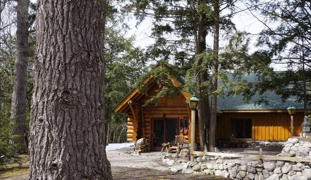 RUSTIC YET REFINED LOG HOME