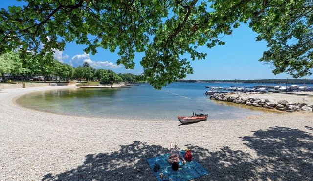 Rustical Villa Allure with Private Pool, BBQ and Children Playground
