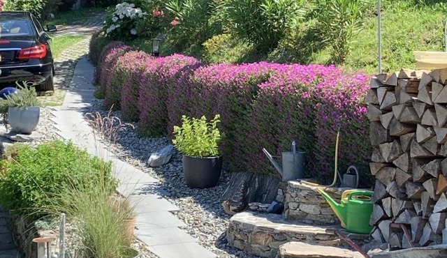 Rustico Motto della Capra