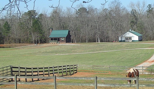 Rustique Cabin at Briarcreek Farm, Country Retreat, Sleeps 6