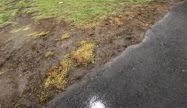 Ruth's Cabin | Custom Deck | Sound System | Bidet