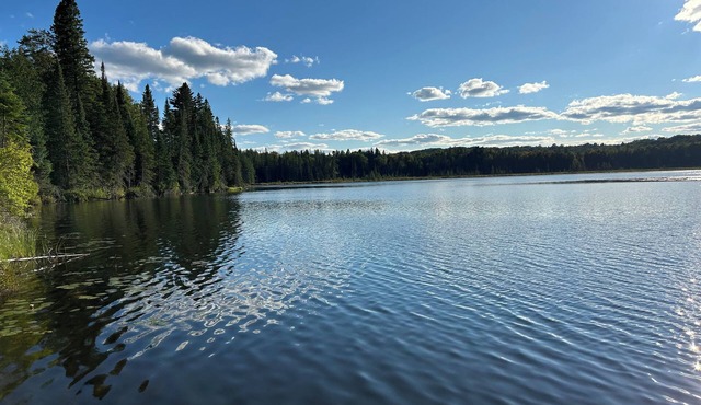 Rutledge Lake Retreat - Surrounded by 58 acres of Forest with Private Lake