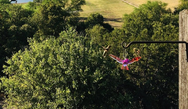 RV GLAMPING DIRECTLY ON LAKE TRAVIS- NEAR HIDDEN FALLS ADV. PARK (2021 RV)