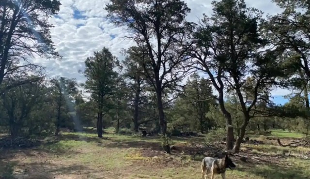 RV Mountain Getawaynn