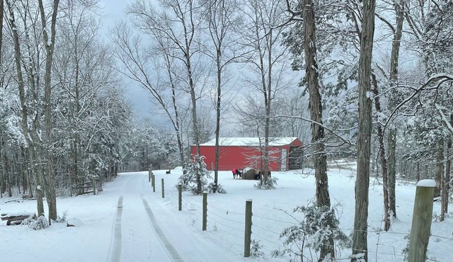 Rv on a charming farm, in the cedar trees