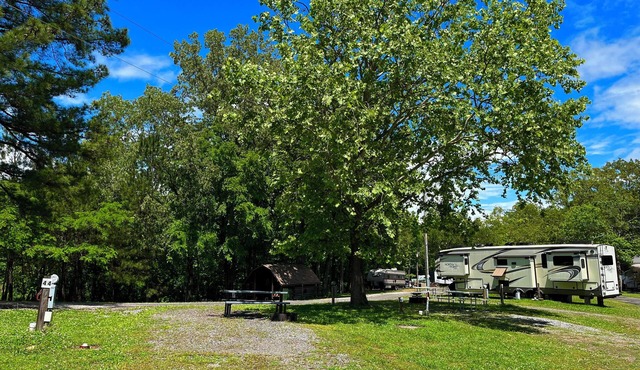 RV Site #44 Pull Through- camping 55ftx37ft