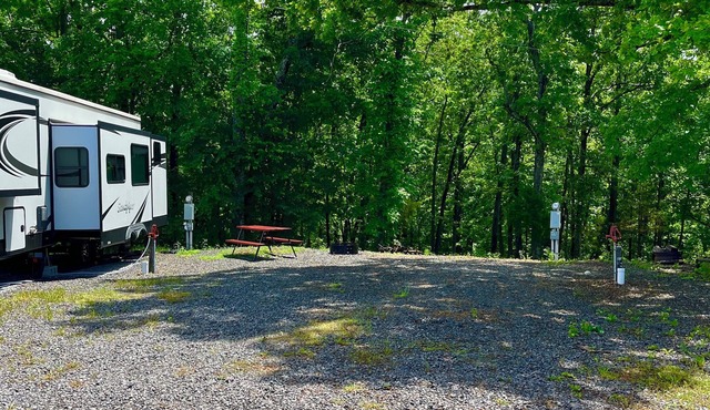 RV Site #48 Back in - Big Rig Friendly 70ftx30ft