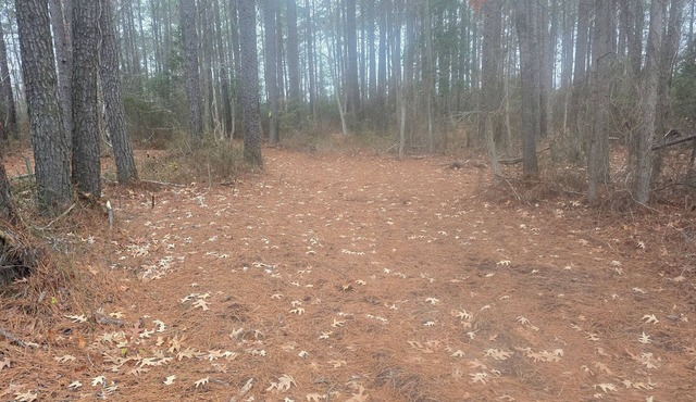 RV Site On Blanchard Farm -MAX RV LENGTH 24 FT