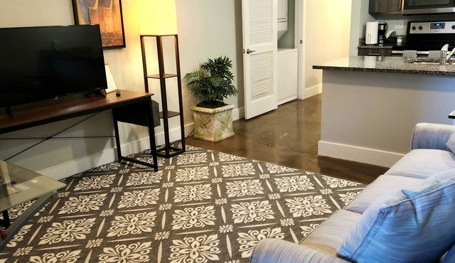 RVA Arts District near VCU MCV