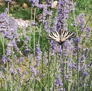 Séjour et weekend en famille chez l'habitant, longère bercéenne, 2 chambres 4 Pers, possibilité rajout berceau et 1 lit single soit 6 Pers maxi