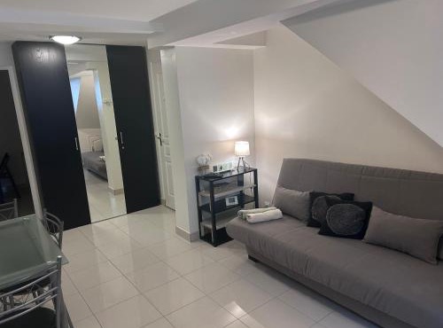 Séjour magique entre Paris et Disney