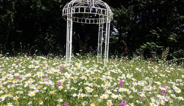 ❤ Séjour Romantique ❤ Salt Water Swimming Pool, Hydrotherapy Hottub