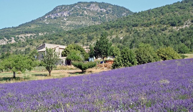 Séjours/ activités sportives en drome provençale