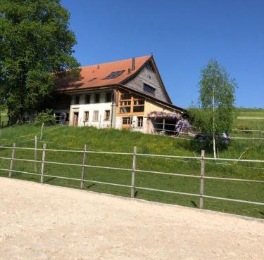 Sérénité et Nature dans une ferme équestre - loft lumineux de 140m2