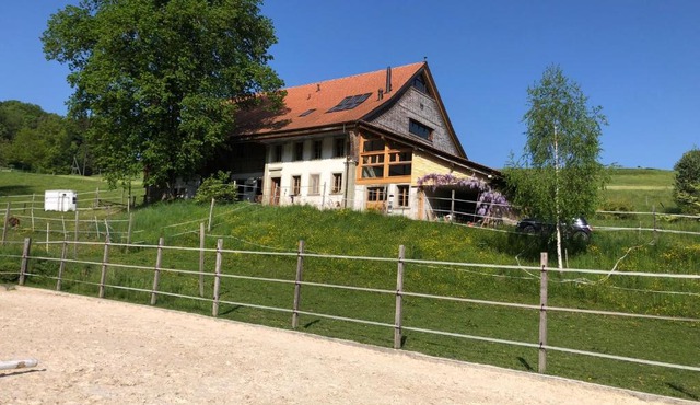 Sérénité et nature dans une ferme équestre - studio familial