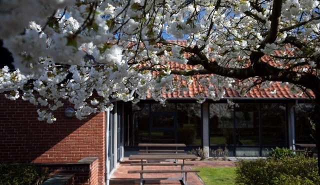 Sønderborg City Hostel