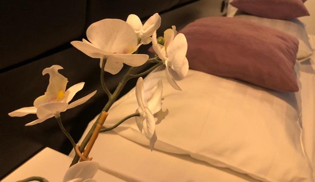 SУЛЕЙМАН SУЛТАН SS