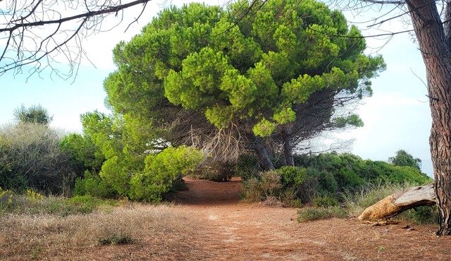 S'échapper Pour des Vacances de Rêves