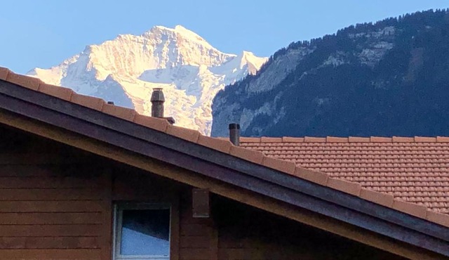 S&P Mountain View Apartment 1