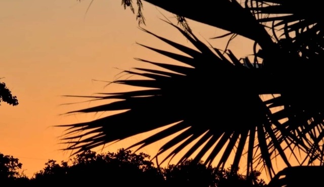 SA STUDIO Private Entry