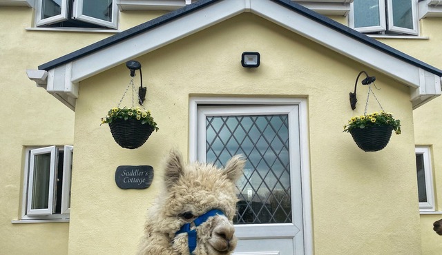 SADDLERS COTTAGE, BERLLANDEG FARM, family friendly in Clunderwen