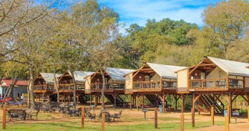 Safari Cabin 1