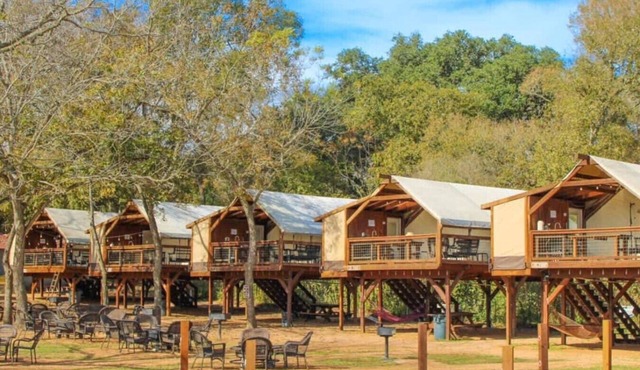 Safari Cabin #3 Ideal for evening fire pit gatherings!