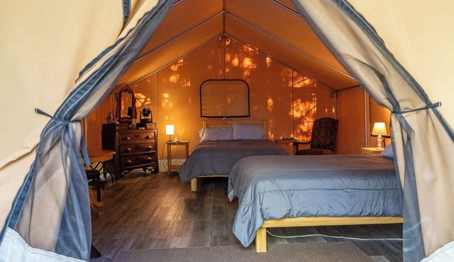 Safari Glamping Tent | Forest Retreat & Hot Tubs!
