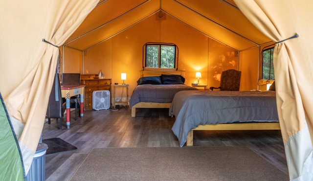 Safari Glamping Tent | Forest Retreat & Hot Tubs!