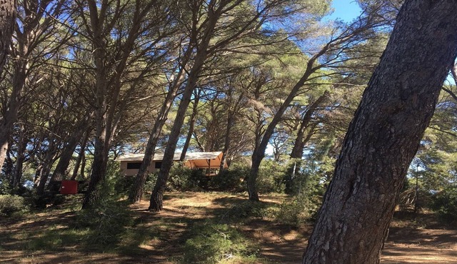 Safari Tent for 4 persons