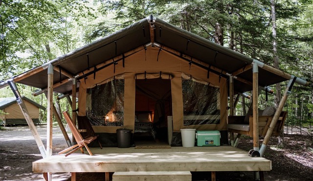 Safari Tent Site 10 | 1 Queen Bed & 1 Bunk Bed | Woods View