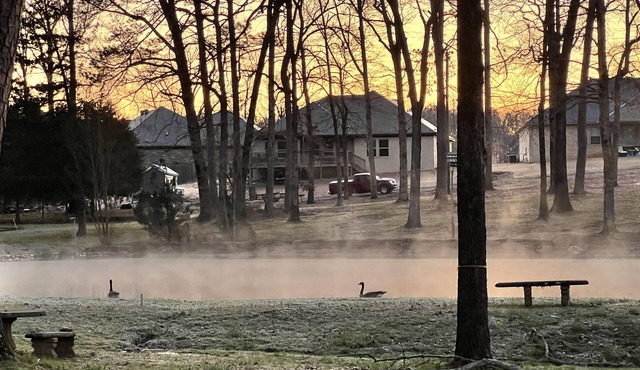 Safe, country oasis, just minutes away from everything, and pet friendly.