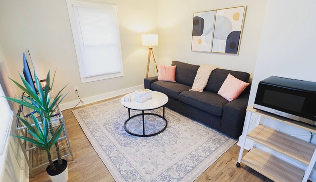 Safe, Quiet, Clean, Modern - Entire Place to Yourself in SoBro Indianapolis