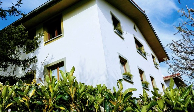 Sagarmintxe. Tourist apartment.