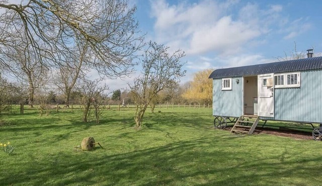 Sage Shepherds Hut at Boundary Farm, Framlingham