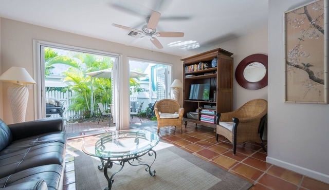 Sago Palm at The Truman Annex in Key West