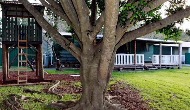 Sahara Trails 'Complex' - Sleeping groups, WiFi, Air Conditioning, Horse Riding and much more !