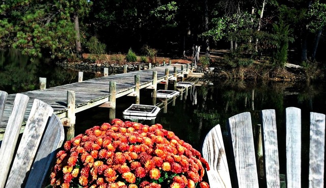 Sail in! Paddle out! Dog-friendly 500' serene waterfront near Chesapeake Bay