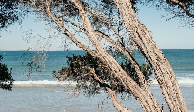 Sails - Elegant, spacious beach villa